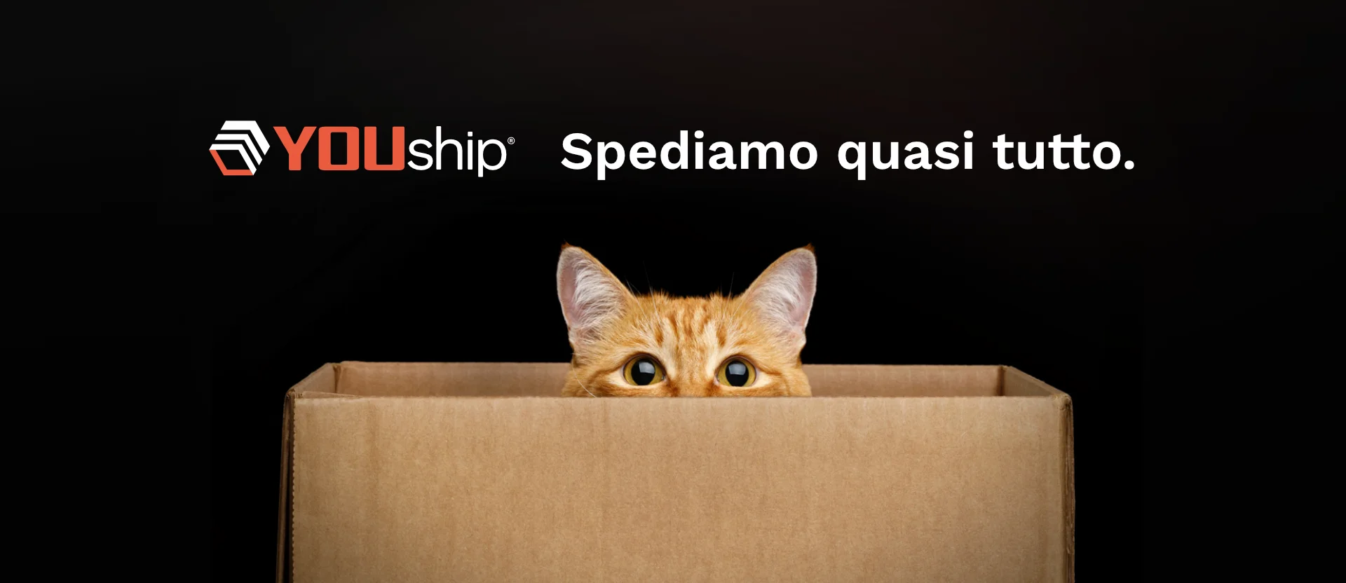 Banner campagna YOUship "Spediamo quasi tutto" — gatto